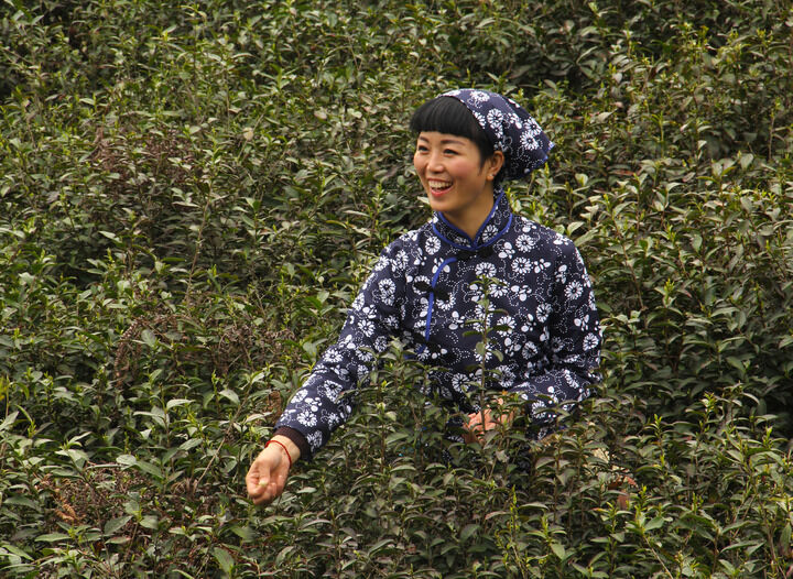更新4